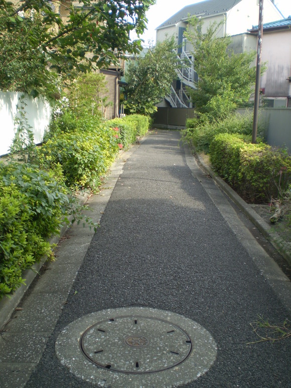 d0250051_15541569.jpg