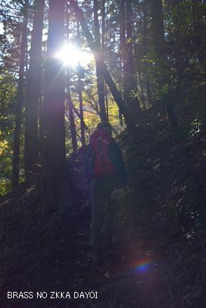 雨巻山トレッキング（師匠撮影編）_c0232252_1534391.jpg