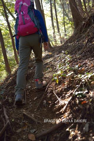 雨巻山トレッキング（師匠撮影編）_c0232252_15353825.jpg