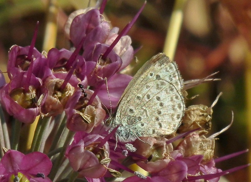 a0018655_1951341.jpg