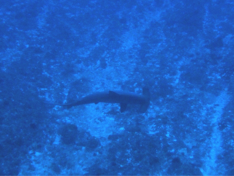 11月 21日 にっこり_d0113459_2158713.jpg