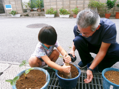 クロキとイチゴの苗植え_c0180460_1215696.jpg