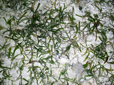 c0180460_3204055.jpg