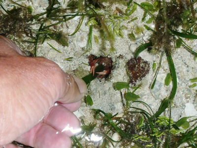 c0180460_3241849.jpg