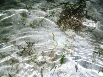 c0180460_329479.jpg