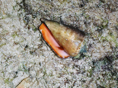 c0180460_3335822.jpg