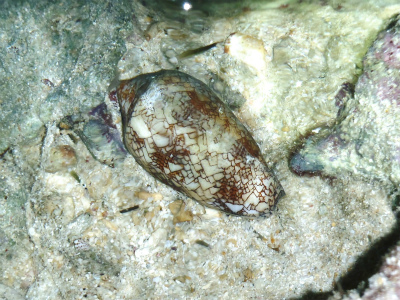 c0180460_3335827.jpg