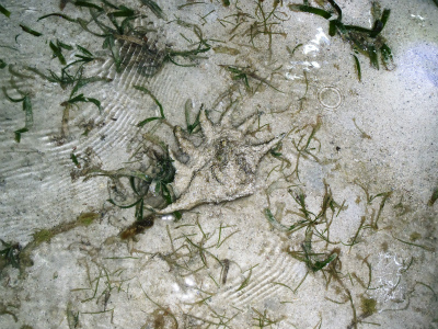 c0180460_3345181.jpg
