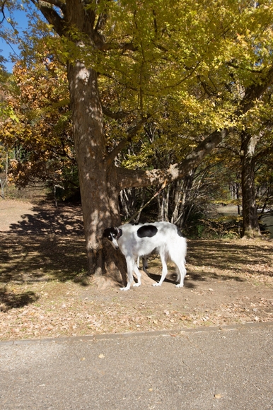 c0260264_20203985.jpg