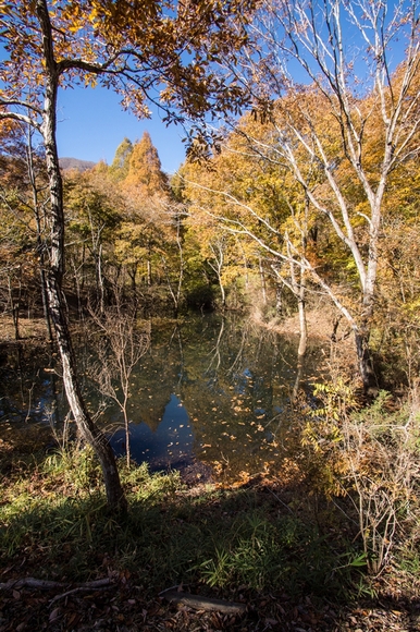 c0260264_20232464.jpg