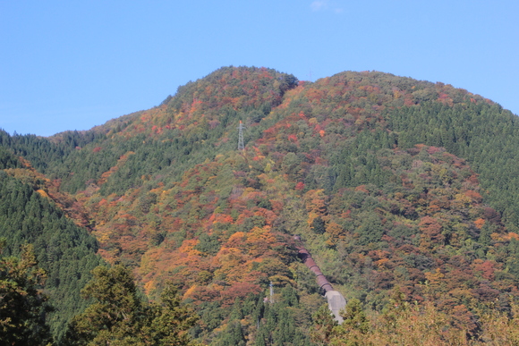 陸羽東線 絶景!_d0202264_54593.jpg