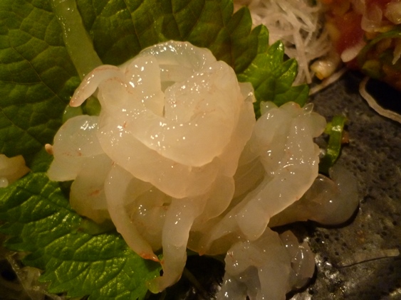 a0297366_1653546.jpg