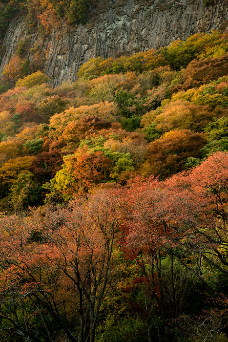 屏風岩　紅葉_c0153969_20564585.jpg