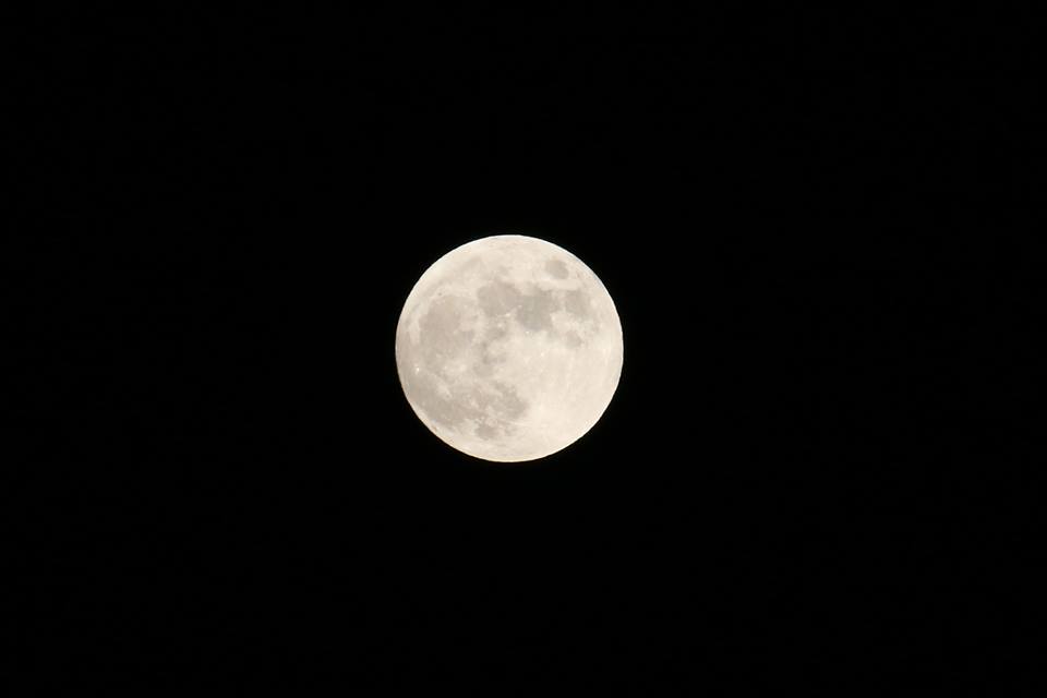 c0127670_04761.jpg