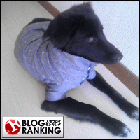 b0304071_1947949.gif