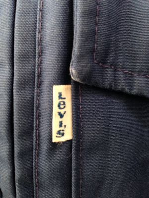 Levis マウンテンパーカー_a0182474_13394482.jpg