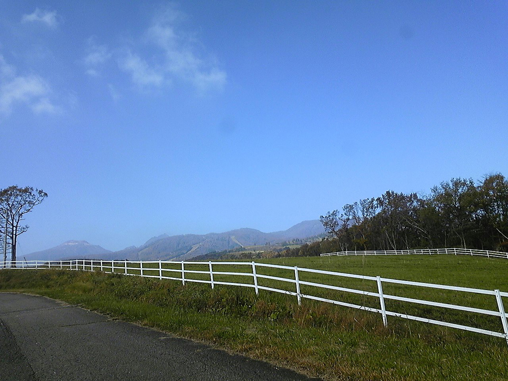 e0118274_2294438.jpg