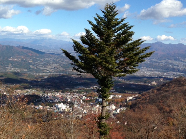 f0145976_20254335.jpg