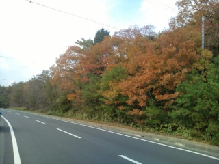 f0200477_011375.jpg