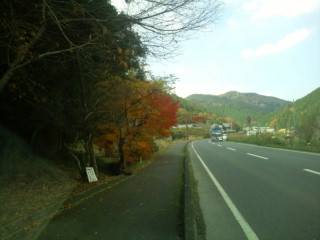 f0200477_022446.jpg