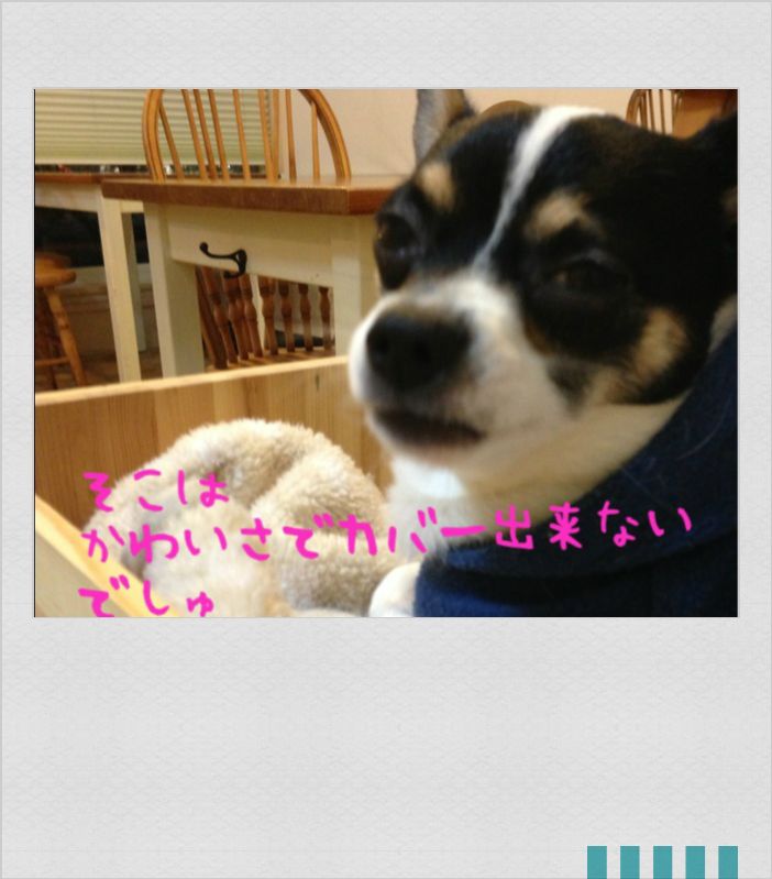 f0248782_11465090.jpg