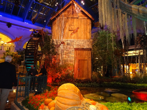 c0096685_20221835.jpg