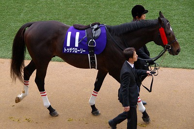 トゥザグローリー（１２’有馬記念１６）_b0015386_22251035.jpg