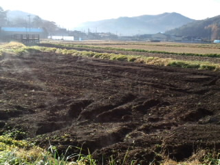 命の土!_d0027486_21594655.jpg