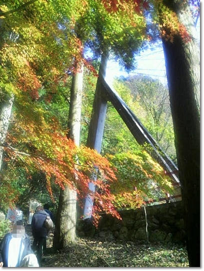 【岡山】宇甘渓の紅葉･加茂川町 ～ 近水園･足守_a0199589_16475875.jpg