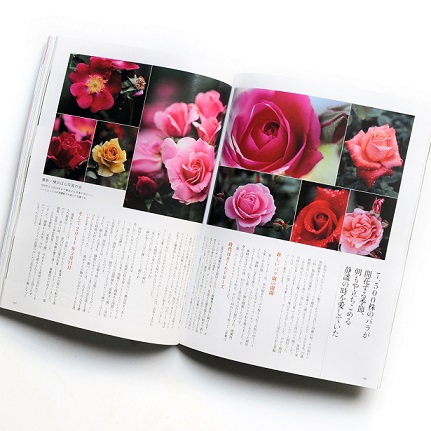 福島双葉町 双葉ばら園 一瞬で幻となったバラ園の４３年の記憶 バラとハーブのある暮らし Salon De Roses