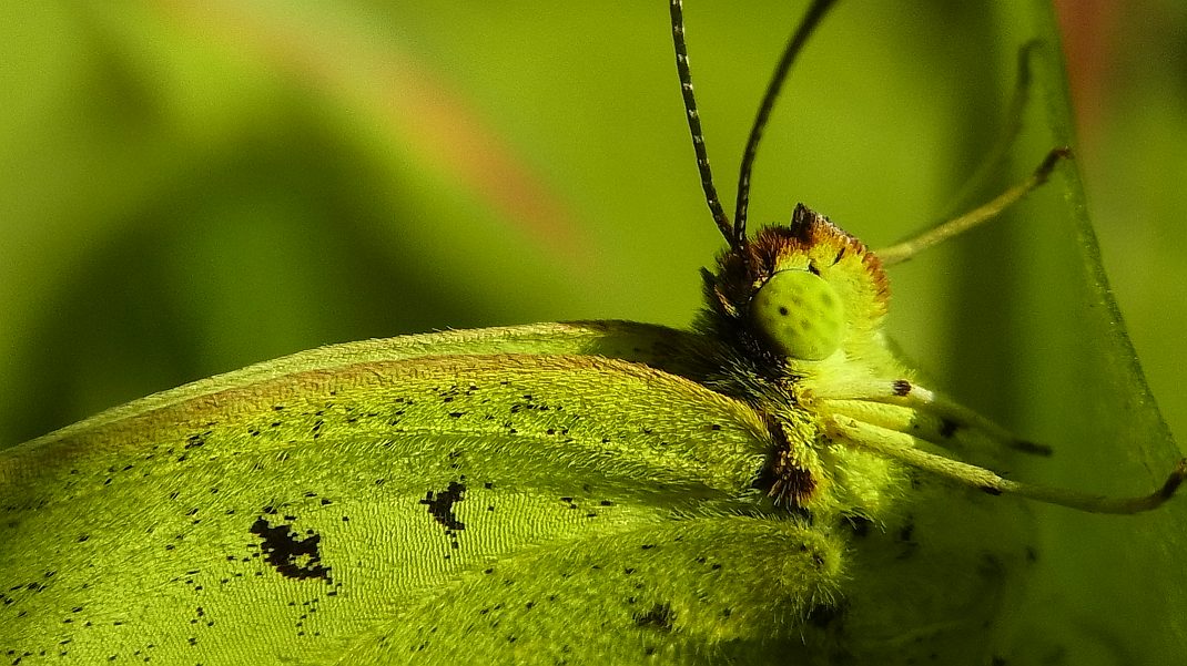 a0152692_1755984.jpg