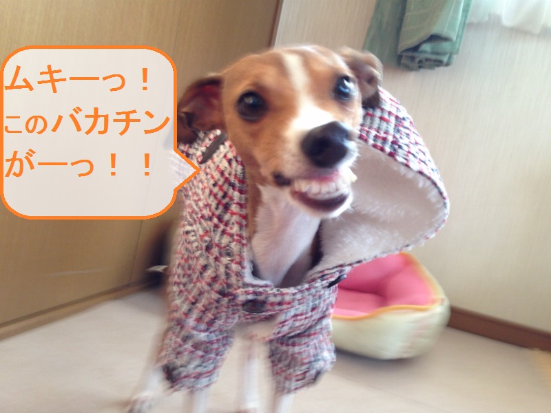 a0284997_22430629.jpg