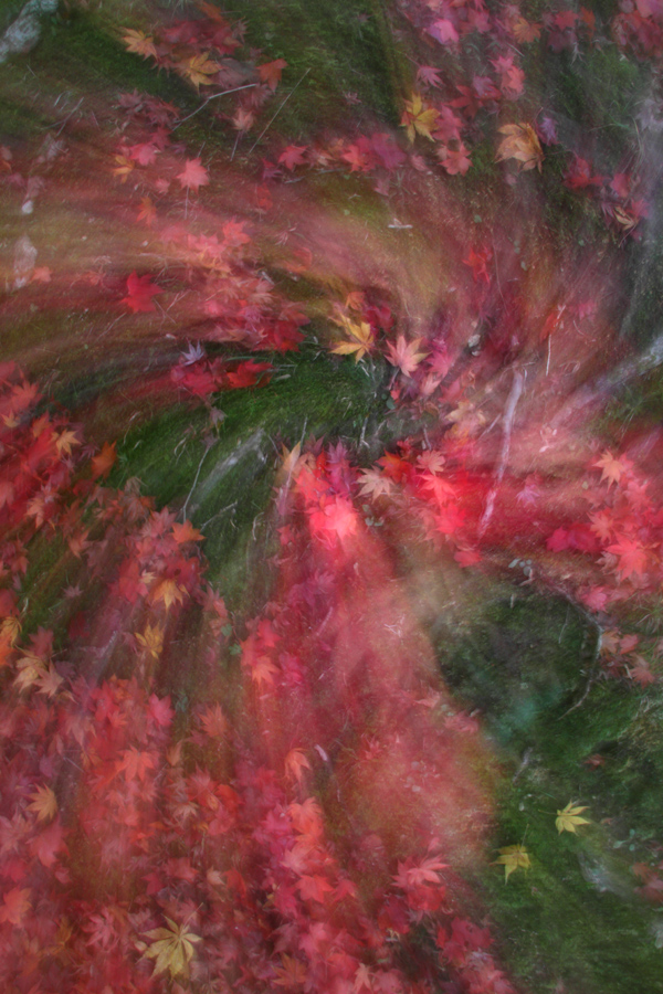d0192097_2225456.jpg