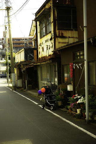 b0286898_846138.jpg