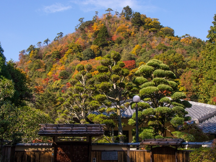 ★有馬温泉・紅葉_e0275899_19135169.jpg