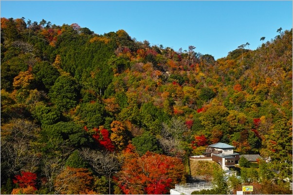 ★有馬温泉・紅葉_e0275899_19151512.jpg