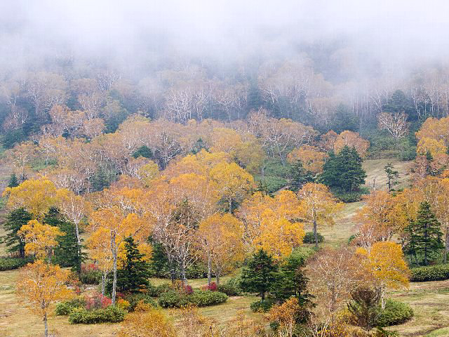 c0008502_2015146.jpg