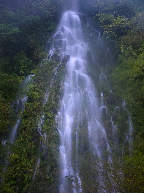 c0008502_2065358.jpg