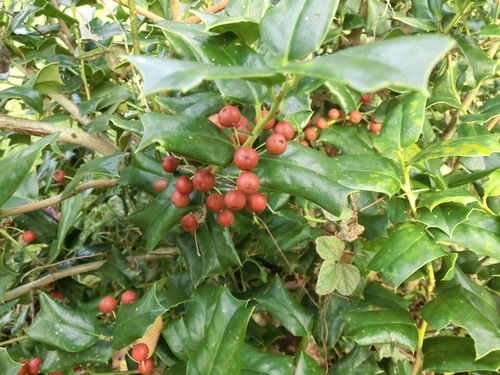 c0156104_21182669.jpg