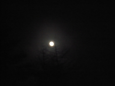 テント、再び!_e0239908_20113452.jpg