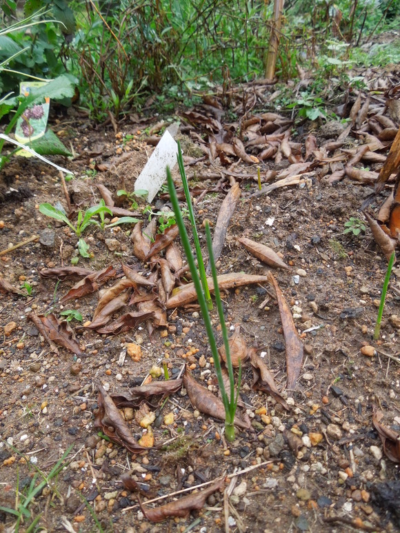 f0297809_015739.jpg