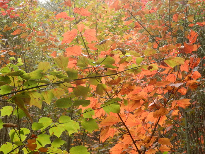 f0219710_12163050.jpg