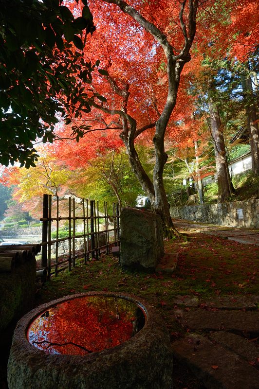 2013京都の紅葉!・内緒のお寺_f0032011_19473630.jpg