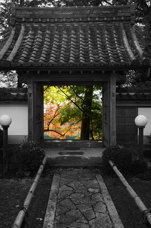 2013京都の紅葉!・内緒のお寺_f0032011_19572899.jpg