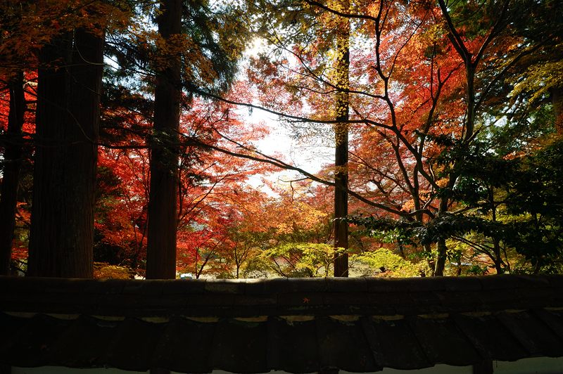 2013京都の紅葉!・内緒のお寺_f0032011_19583670.jpg