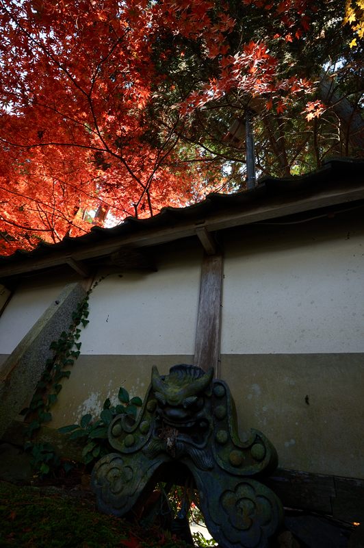 2013京都の紅葉!・内緒のお寺_f0032011_19584939.jpg