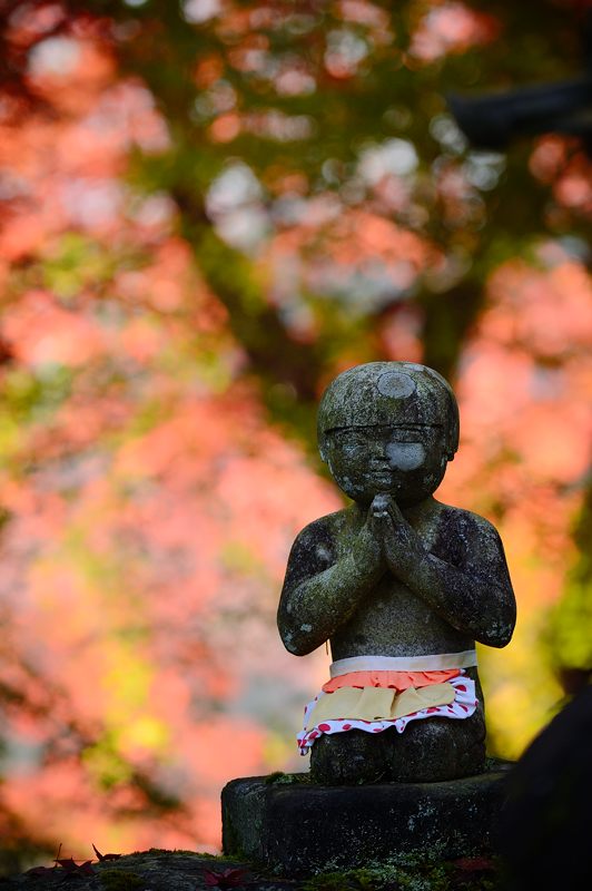 2013京都の紅葉!・内緒のお寺_f0032011_19591439.jpg