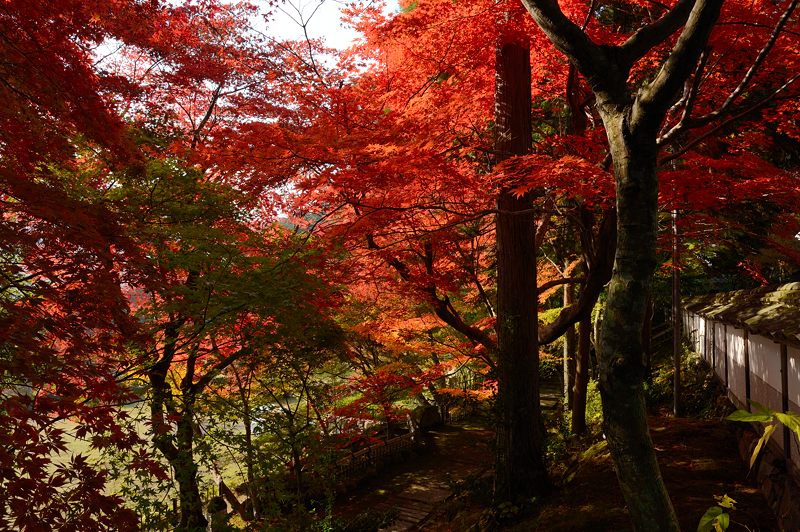 2013京都の紅葉!・内緒のお寺_f0032011_19592593.jpg