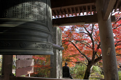 二尊院 13紅葉だより33_e0048413_20372187.jpg