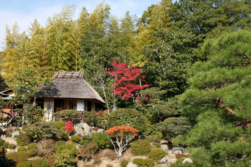 等持院 13紅葉だより34_e0048413_21471189.jpg